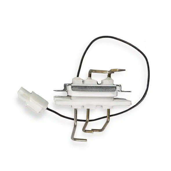 30004680A - Flame Rod Assembly - NG